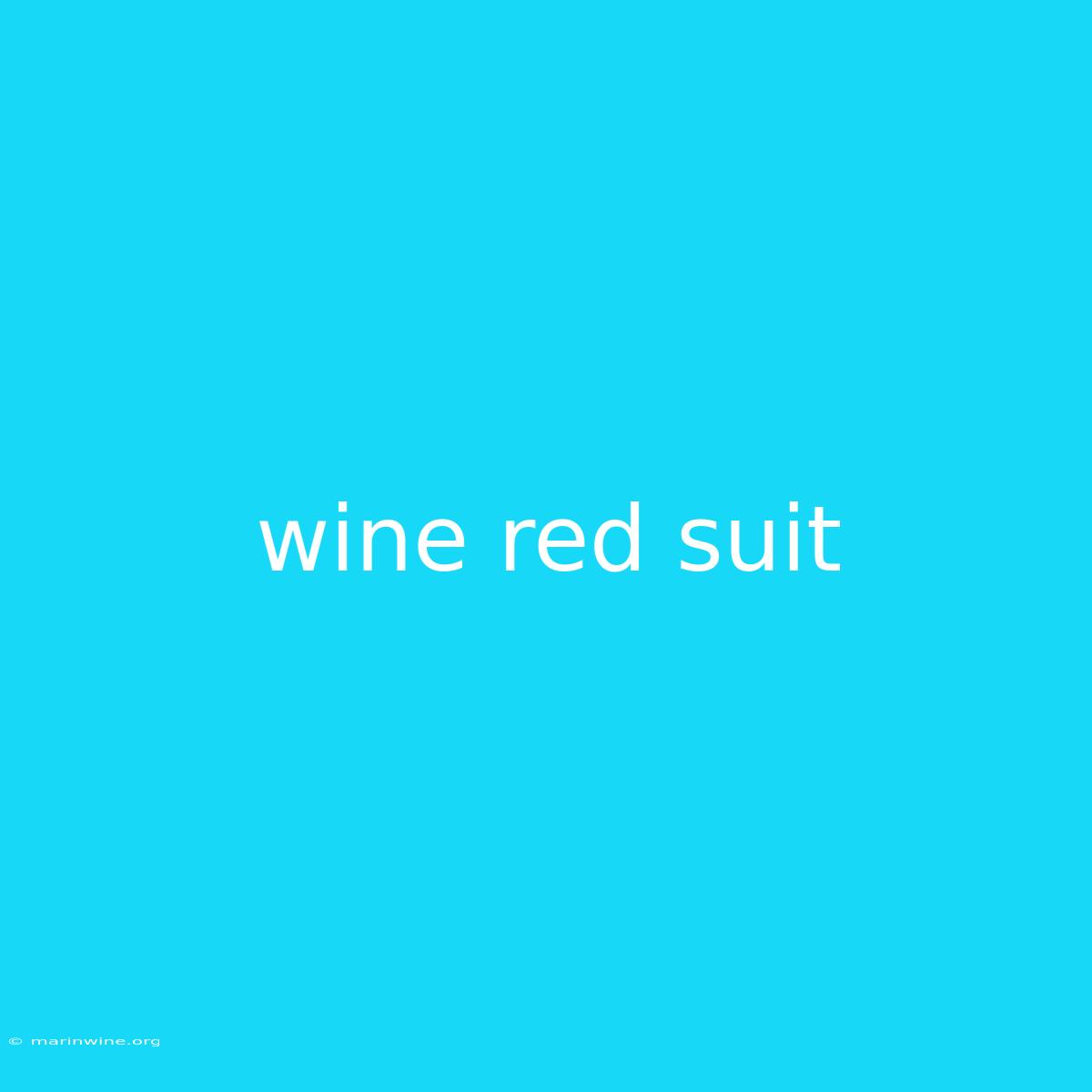 Wine Red Suit