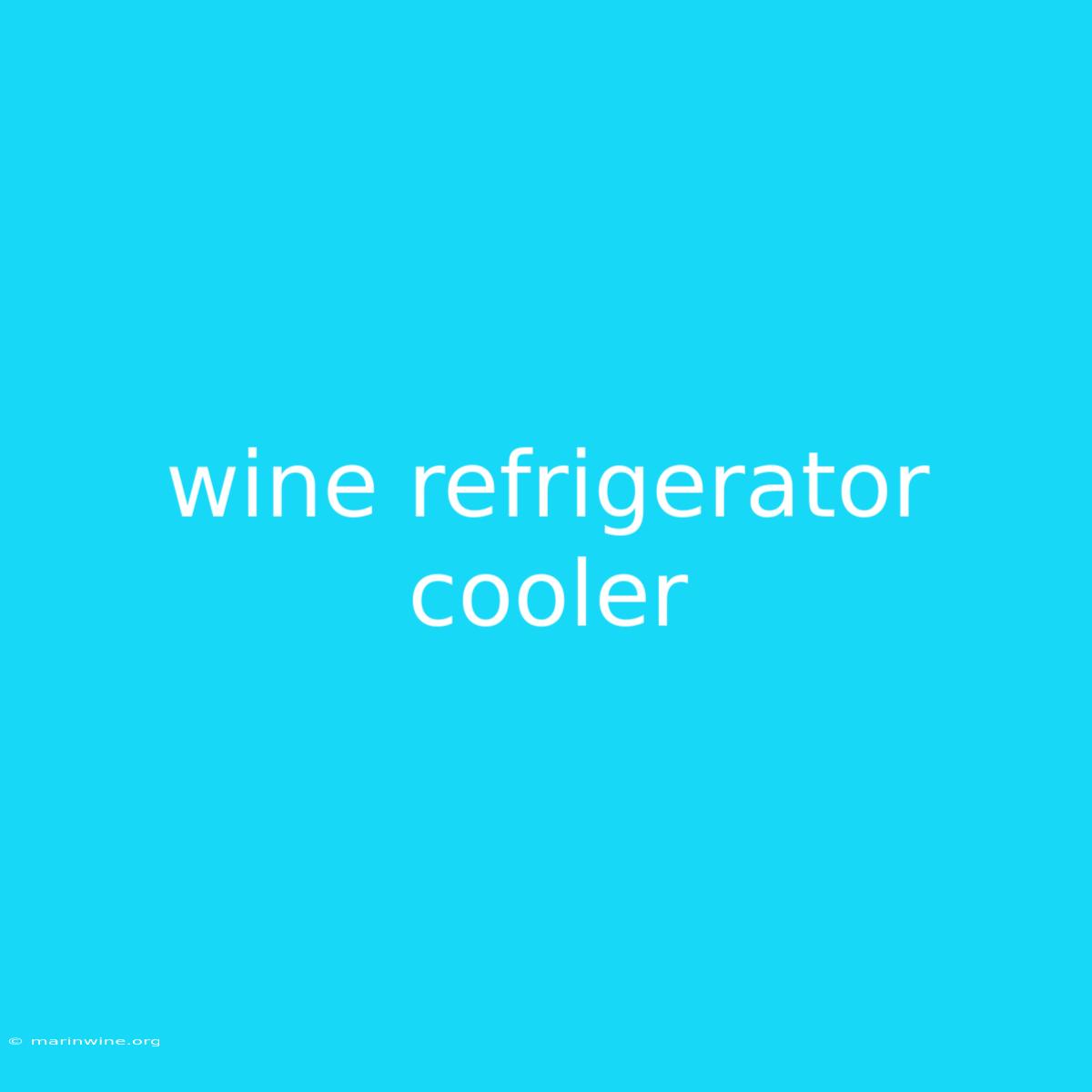 Wine Refrigerator Cooler