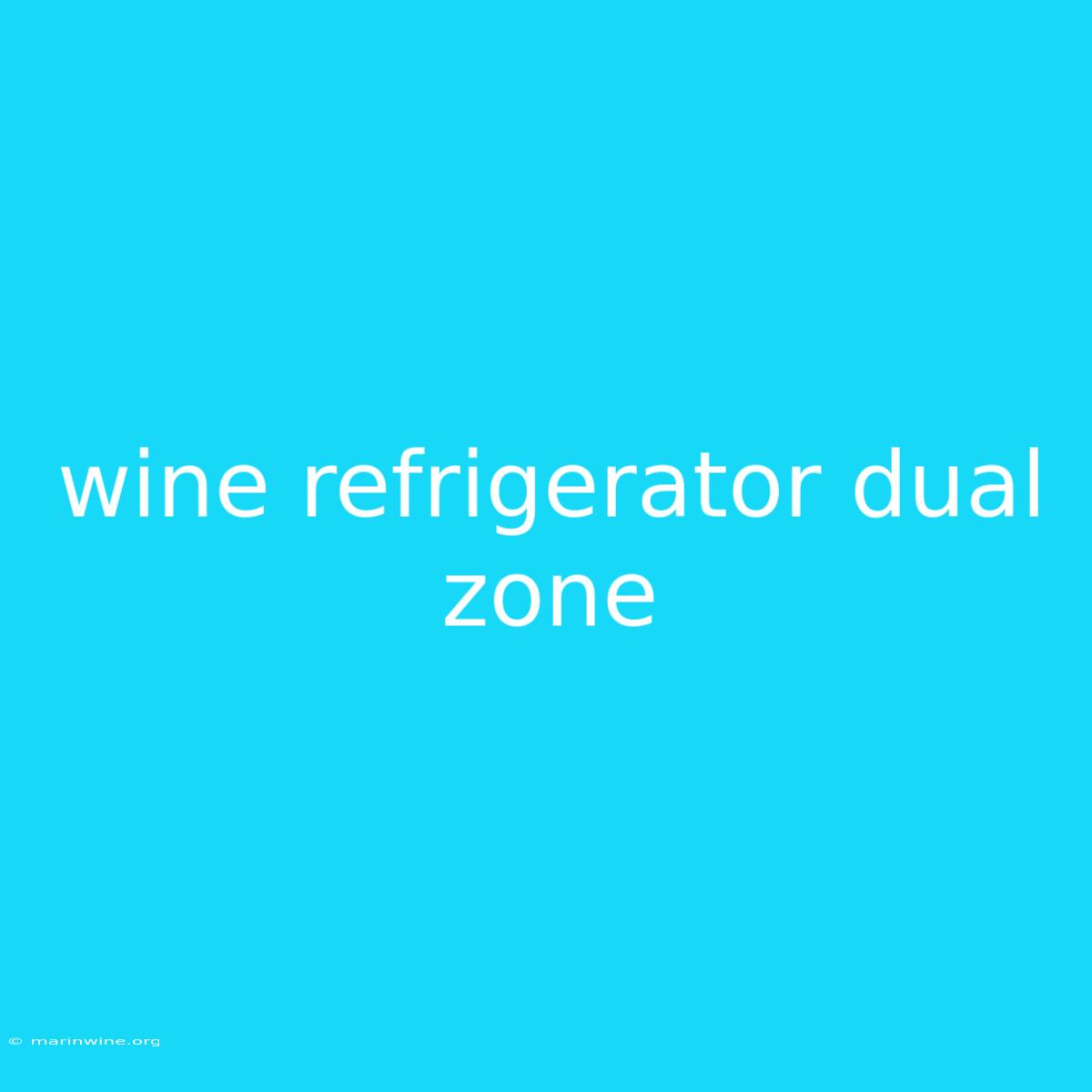 Wine Refrigerator Dual Zone