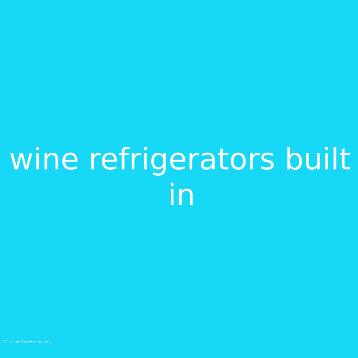 Wine Refrigerators Built In