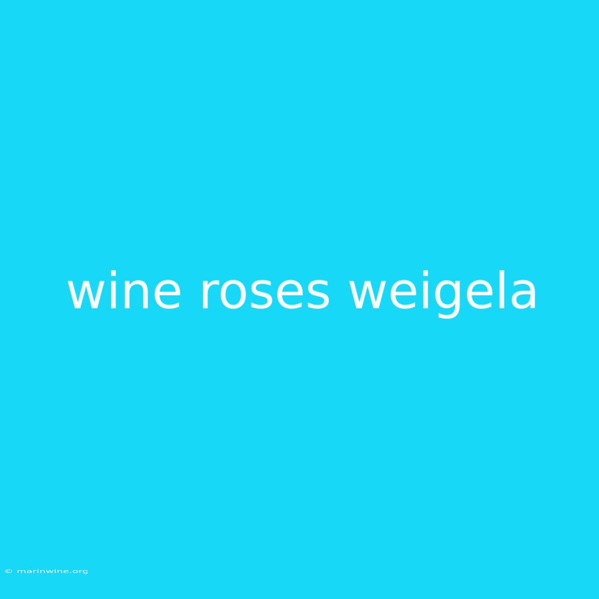 Wine Roses Weigela