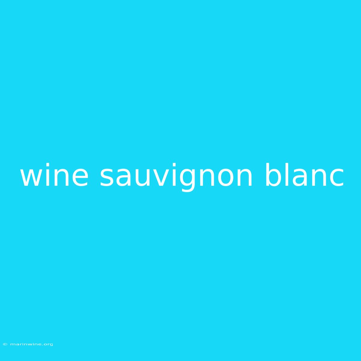 Wine Sauvignon Blanc