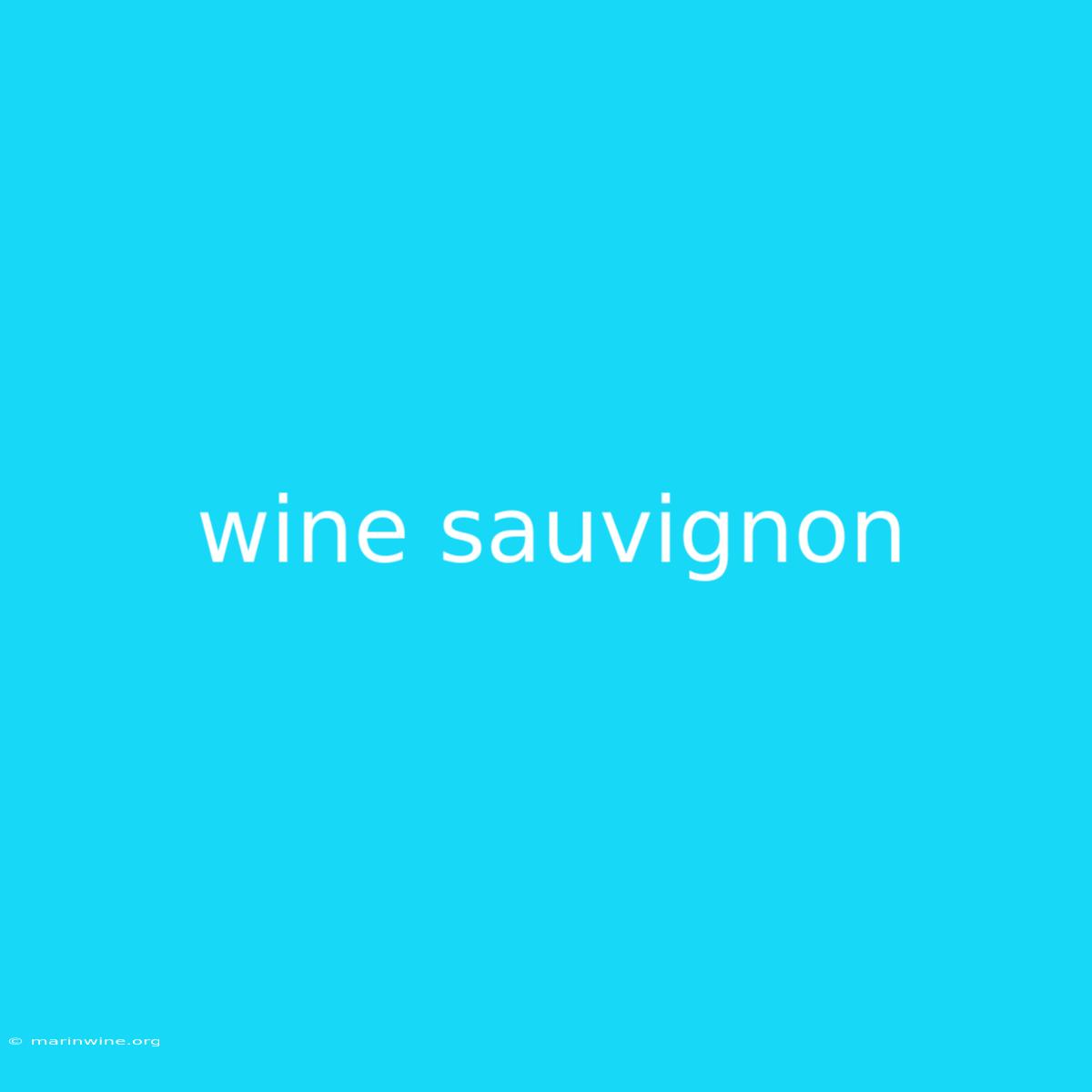 Wine Sauvignon