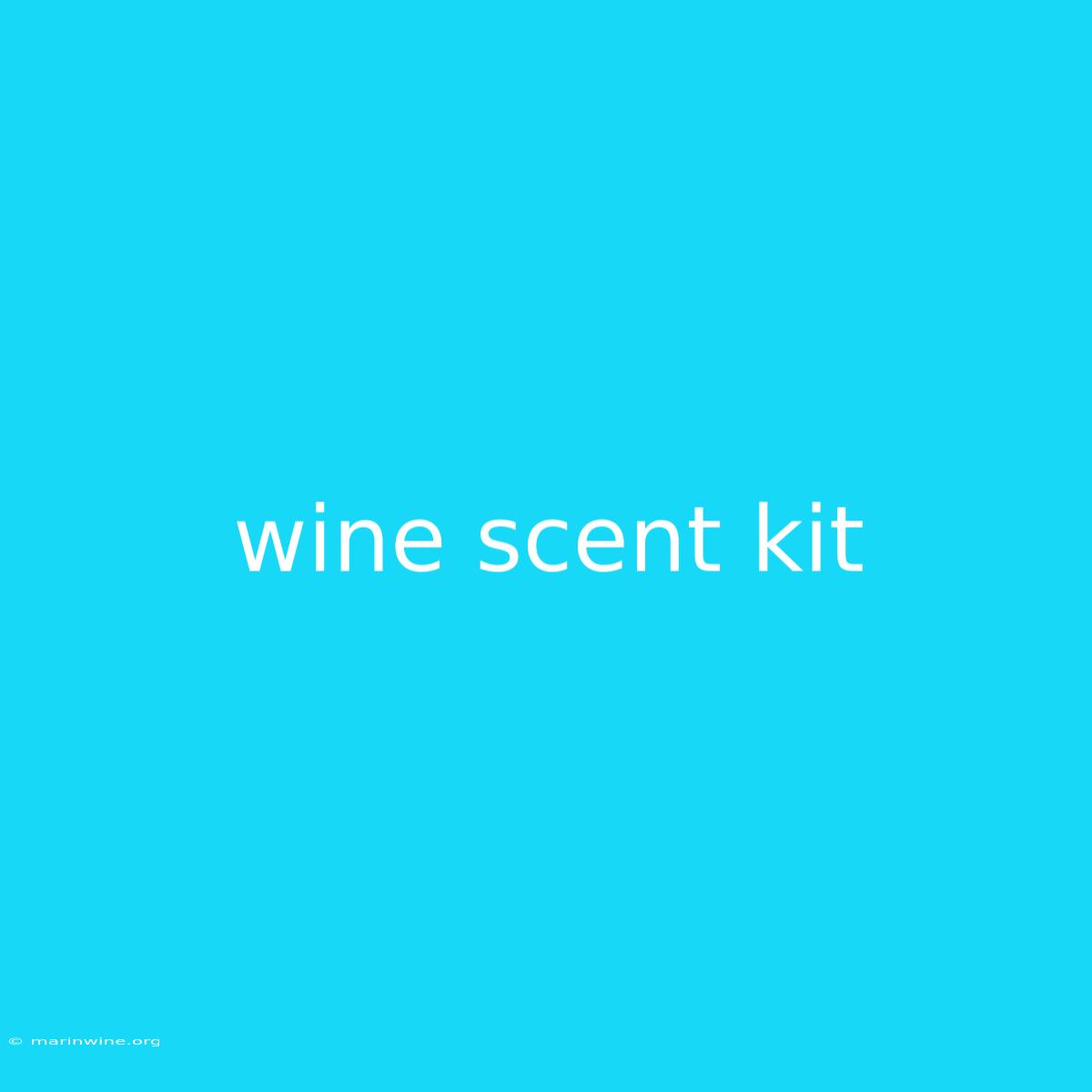 Wine Scent Kit