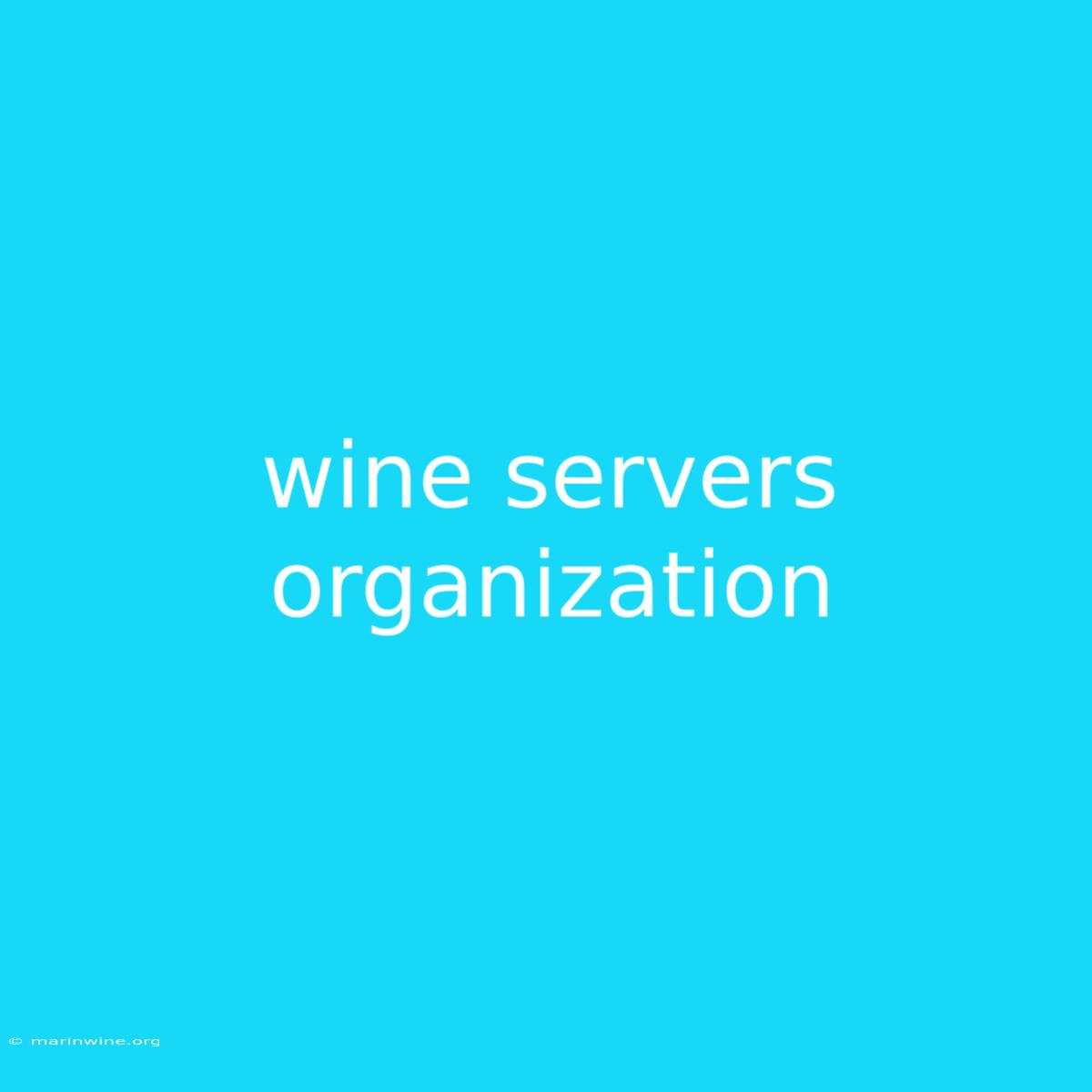 Wine Servers Organization