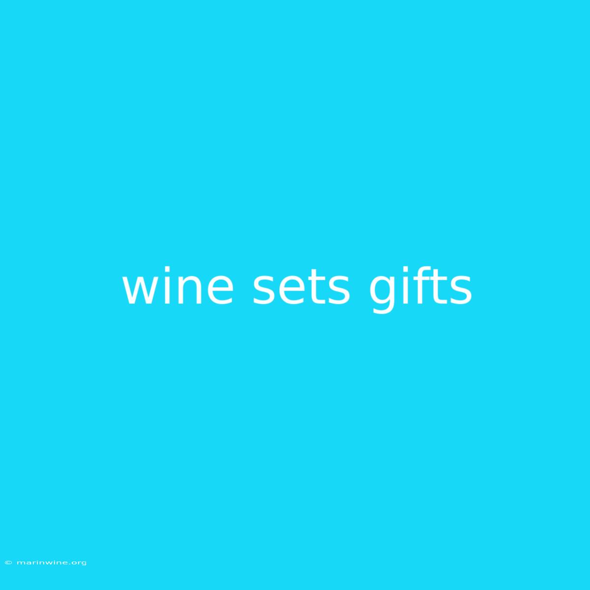 Wine Sets Gifts