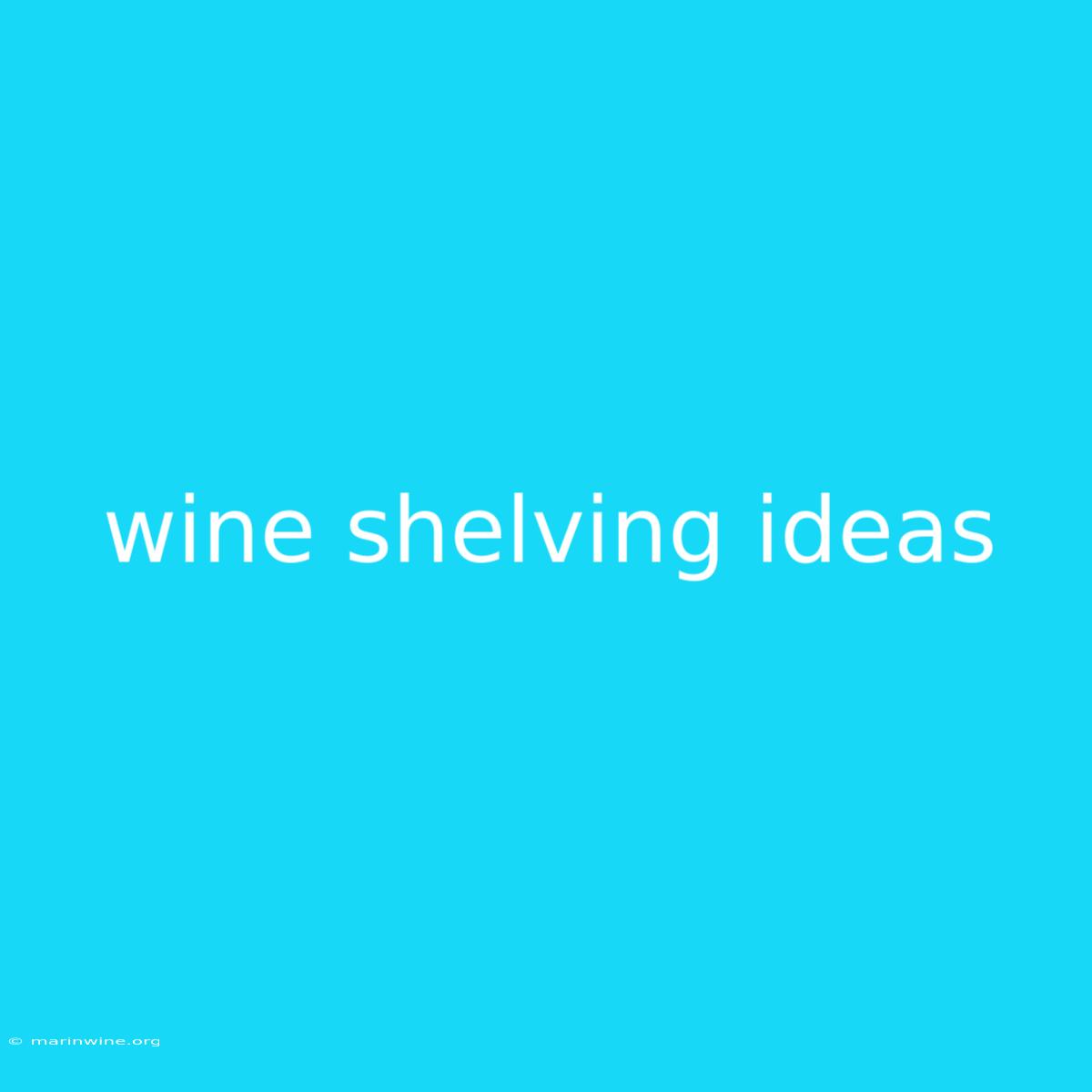 Wine Shelving Ideas