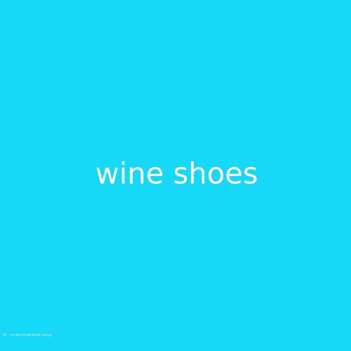 Wine Shoes