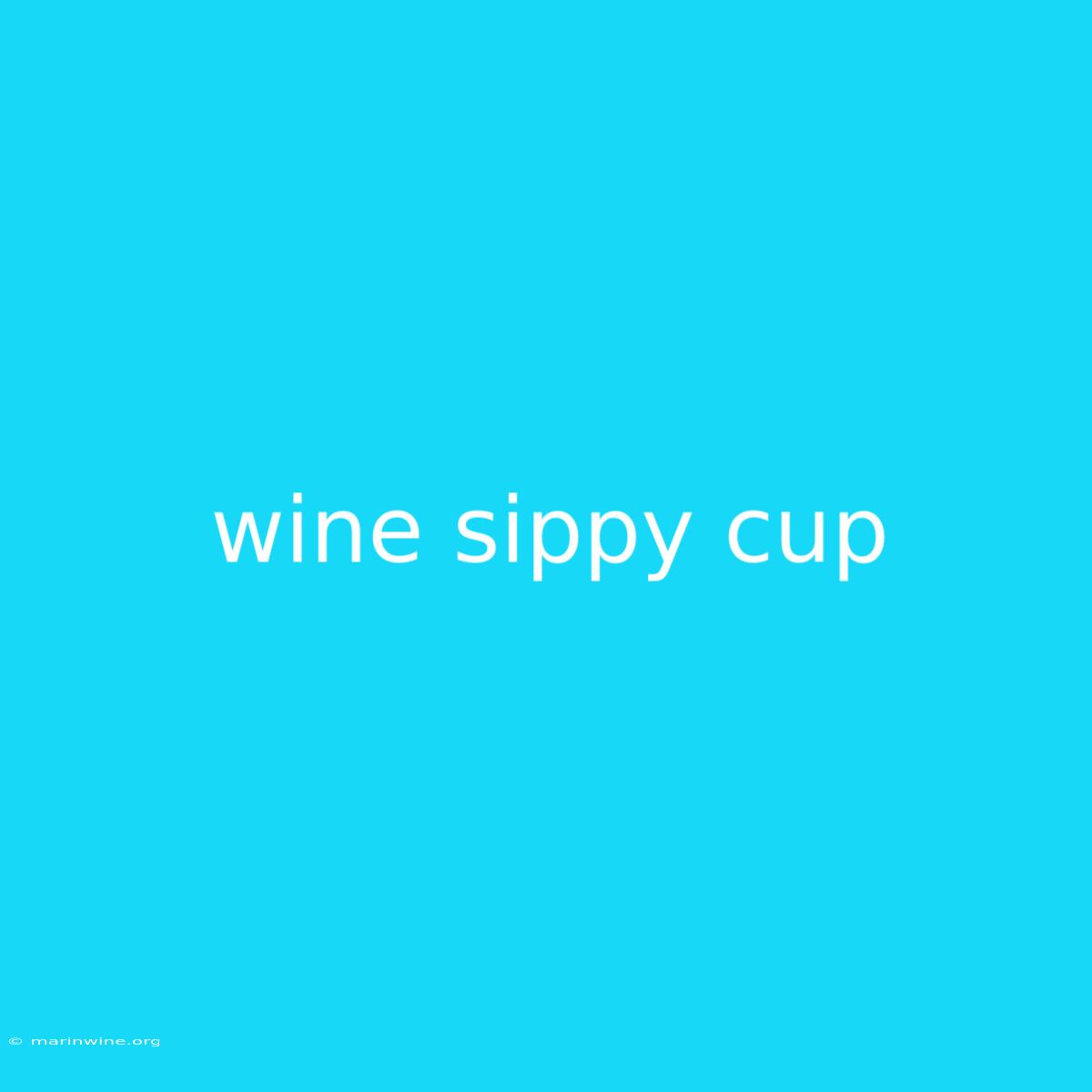 Wine Sippy Cup