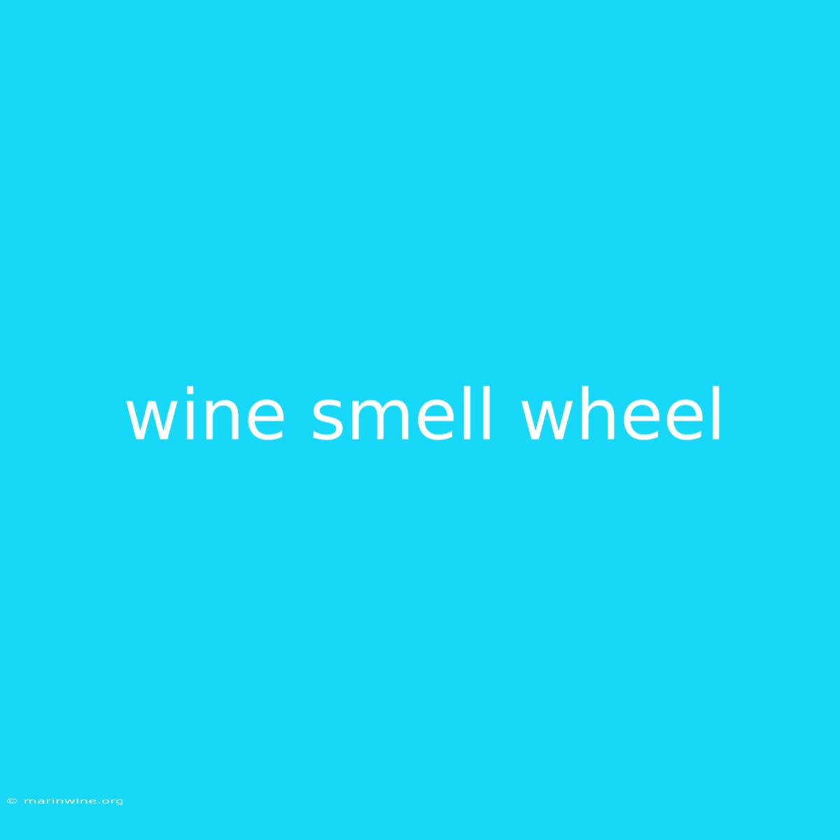 Wine Smell Wheel