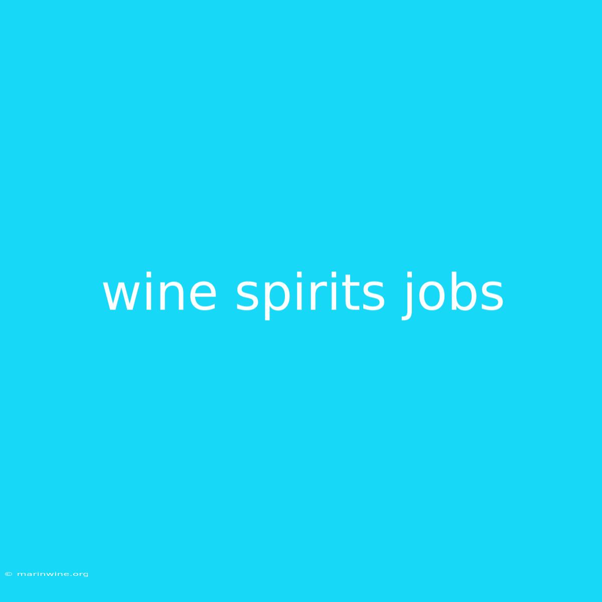 Wine Spirits Jobs