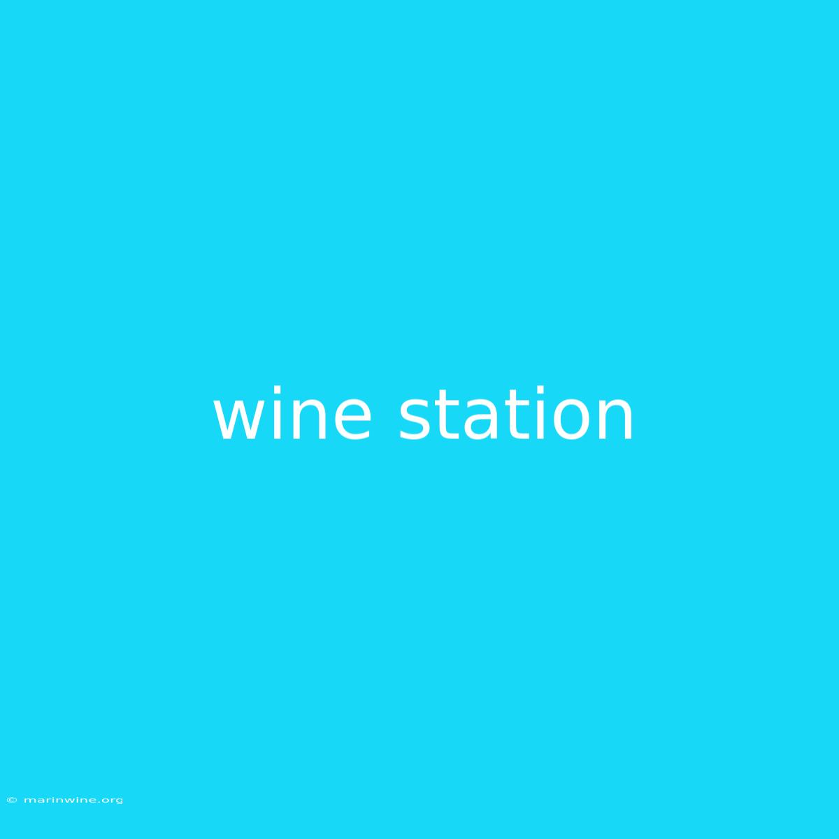 Wine Station