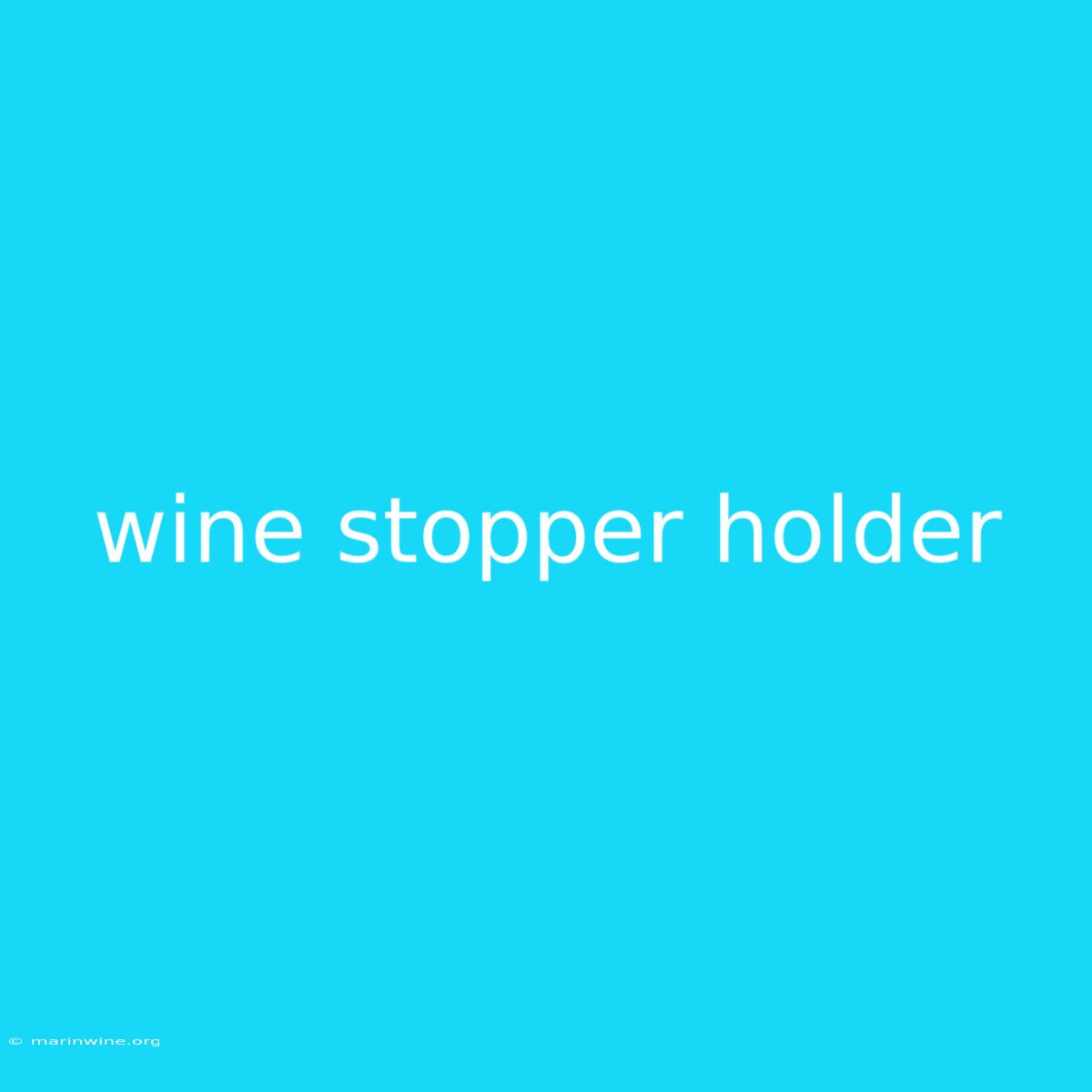 Wine Stopper Holder