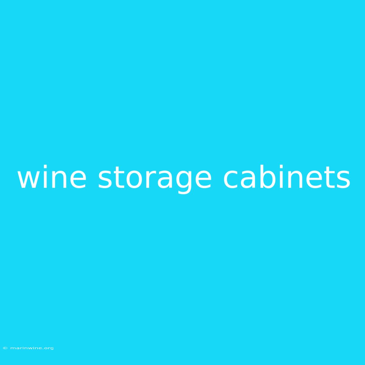 Wine Storage Cabinets