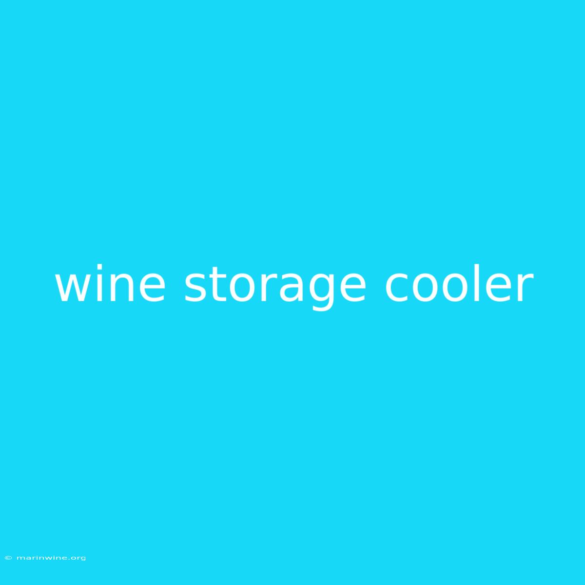 Wine Storage Cooler