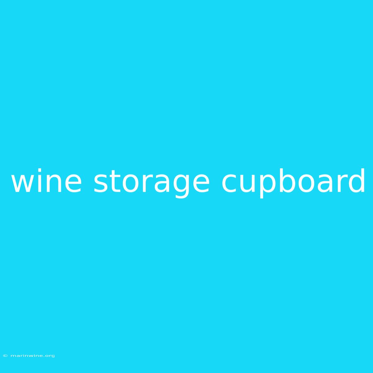 Wine Storage Cupboard