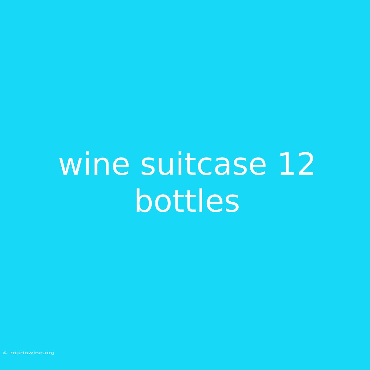 Wine Suitcase 12 Bottles