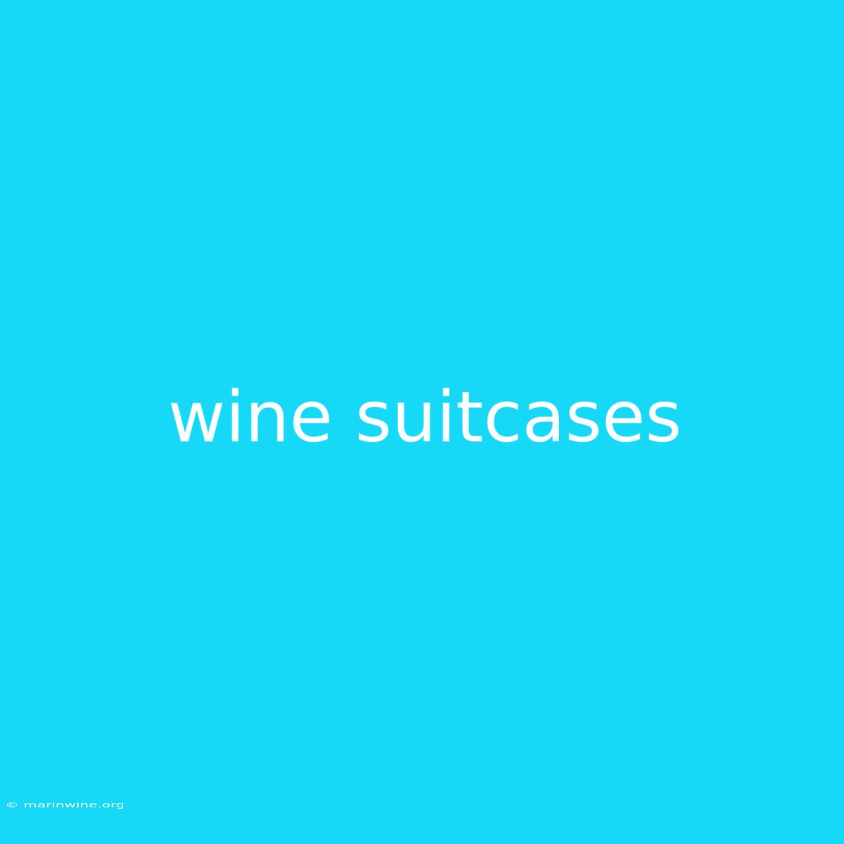 Wine Suitcases