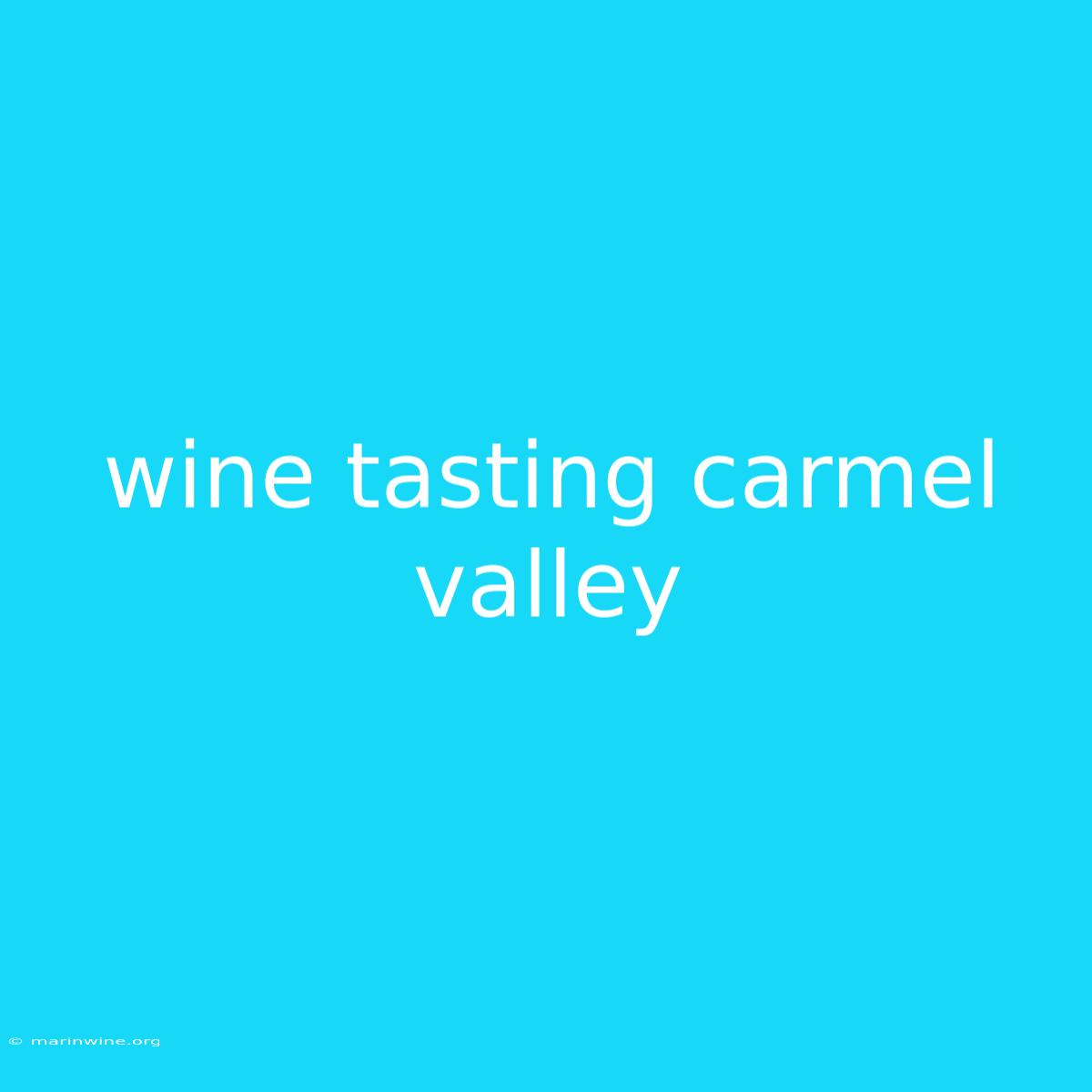 Wine Tasting Carmel Valley