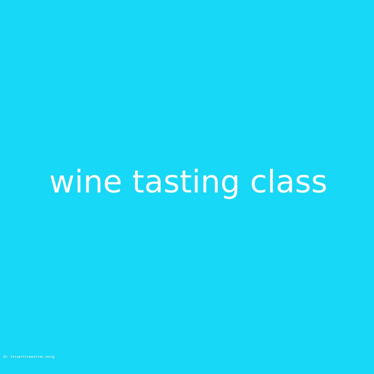 Wine Tasting Class