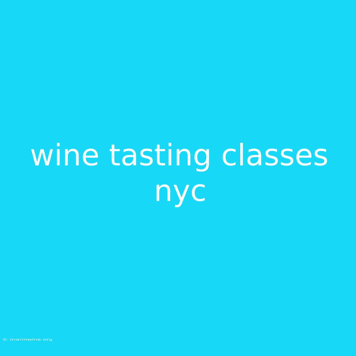 Wine Tasting Classes Nyc