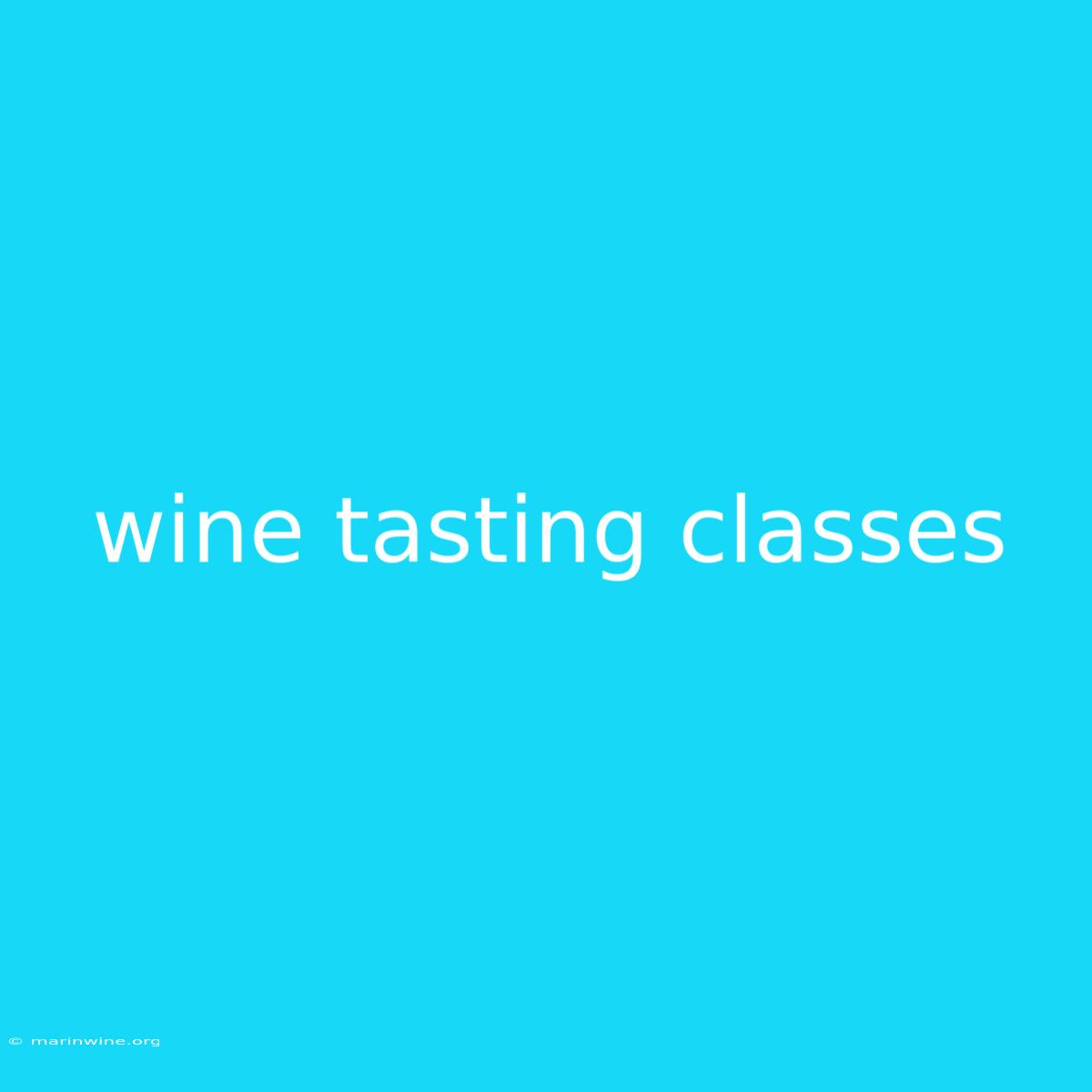 Wine Tasting Classes