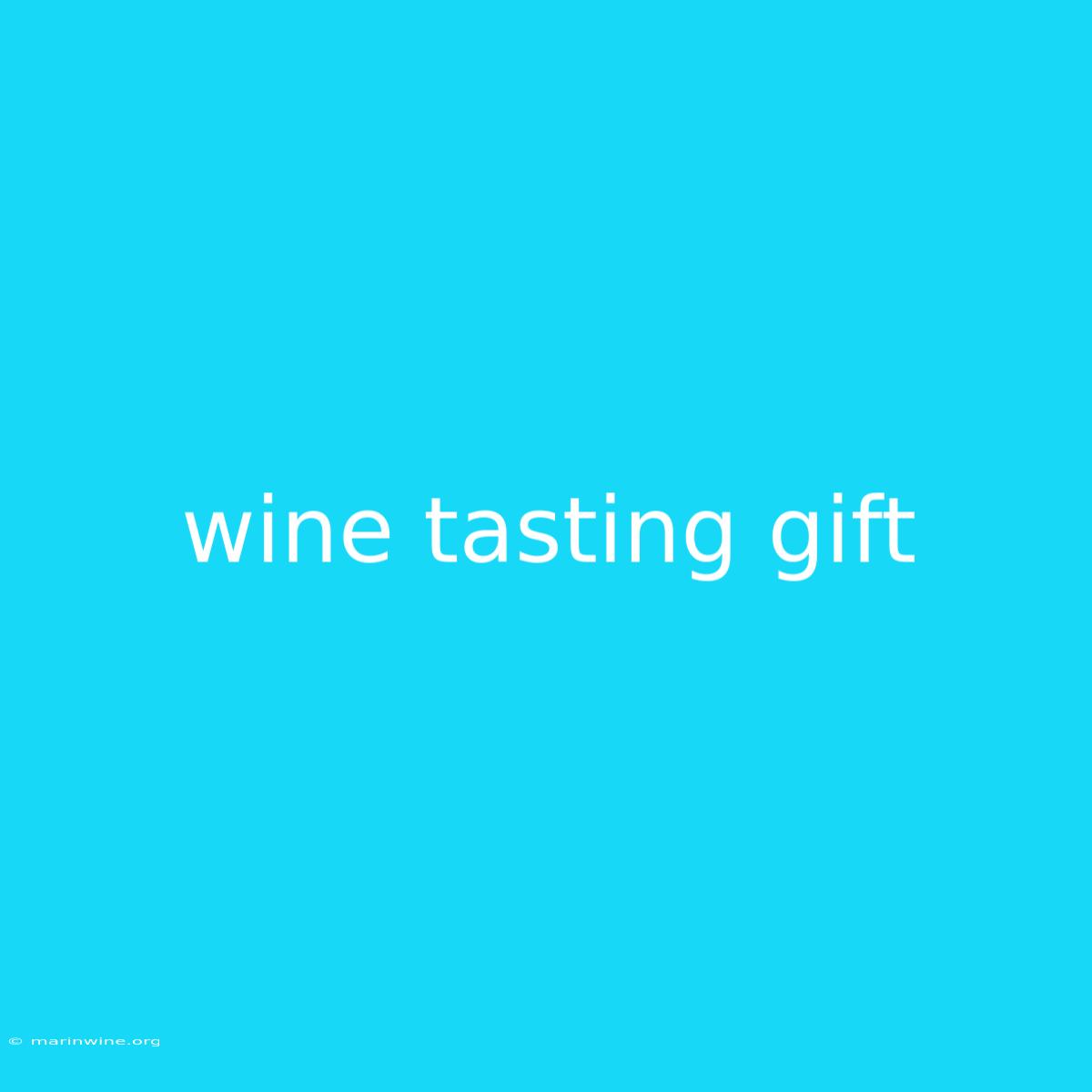 Wine Tasting Gift