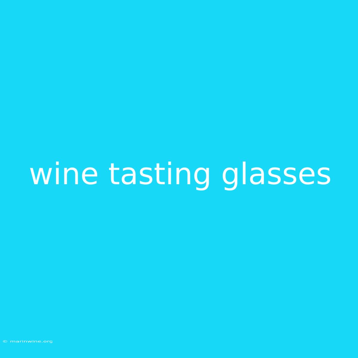 Wine Tasting Glasses