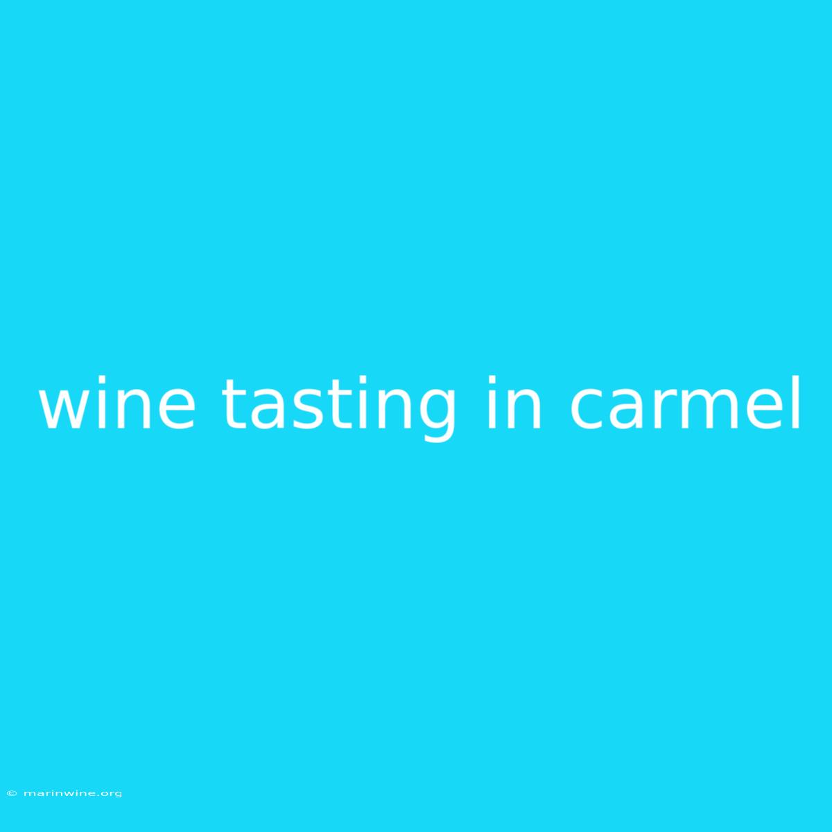 Wine Tasting In Carmel