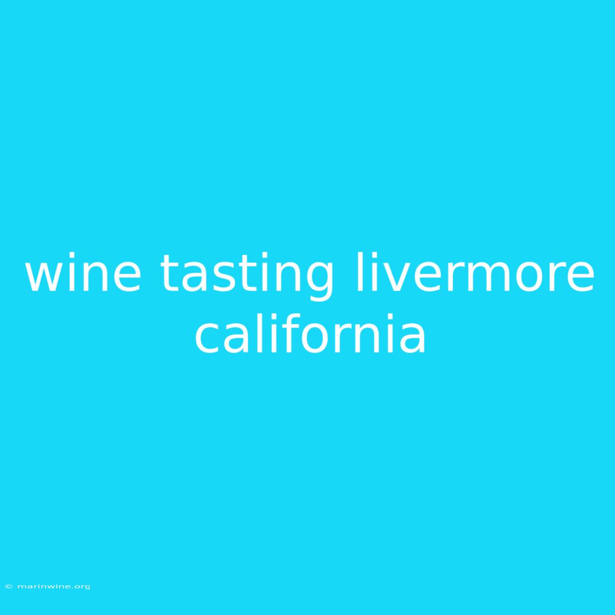 Wine Tasting Livermore California