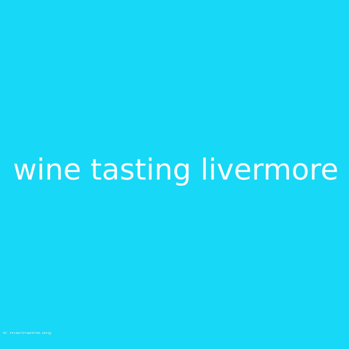 Wine Tasting Livermore