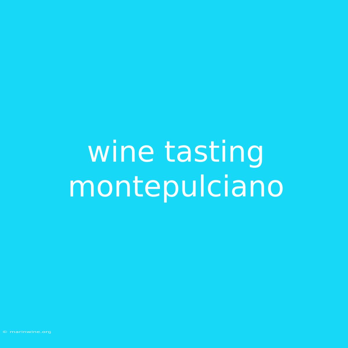 Wine Tasting Montepulciano