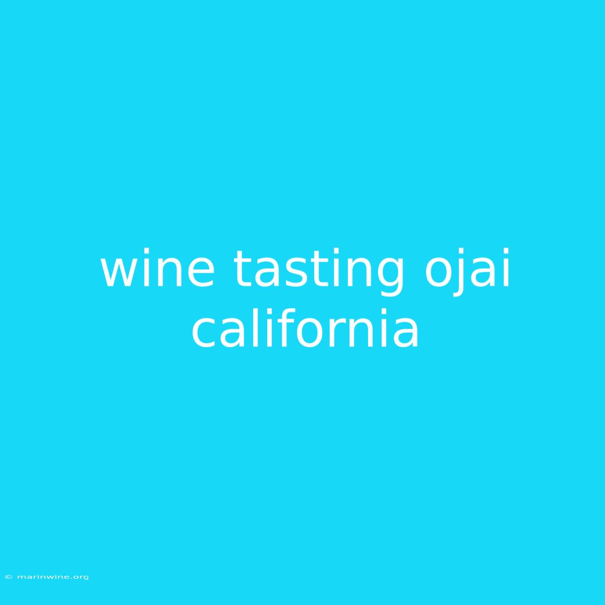 Wine Tasting Ojai California