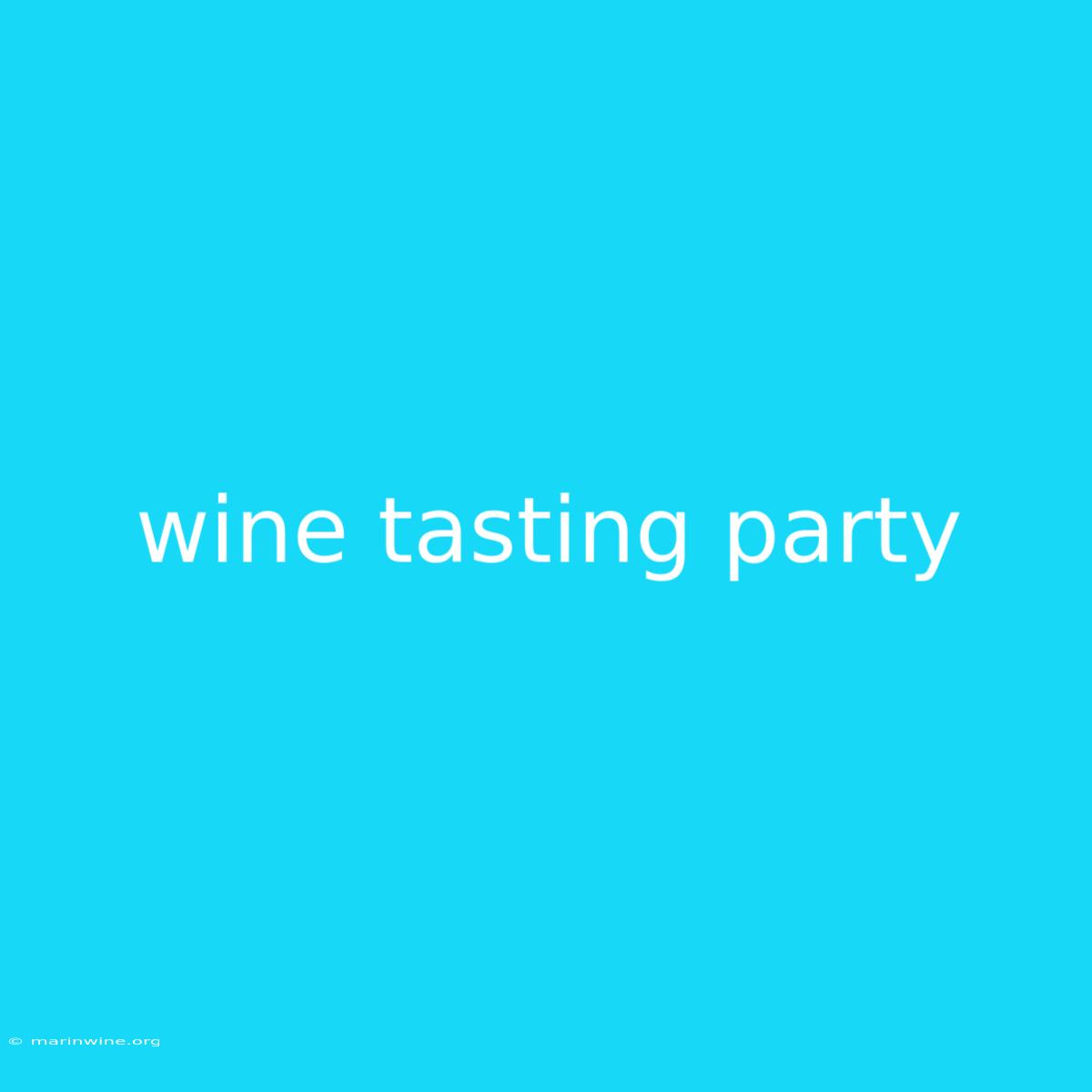 Wine Tasting Party