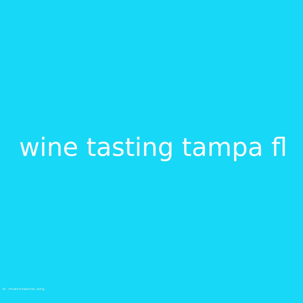 Wine Tasting Tampa Fl