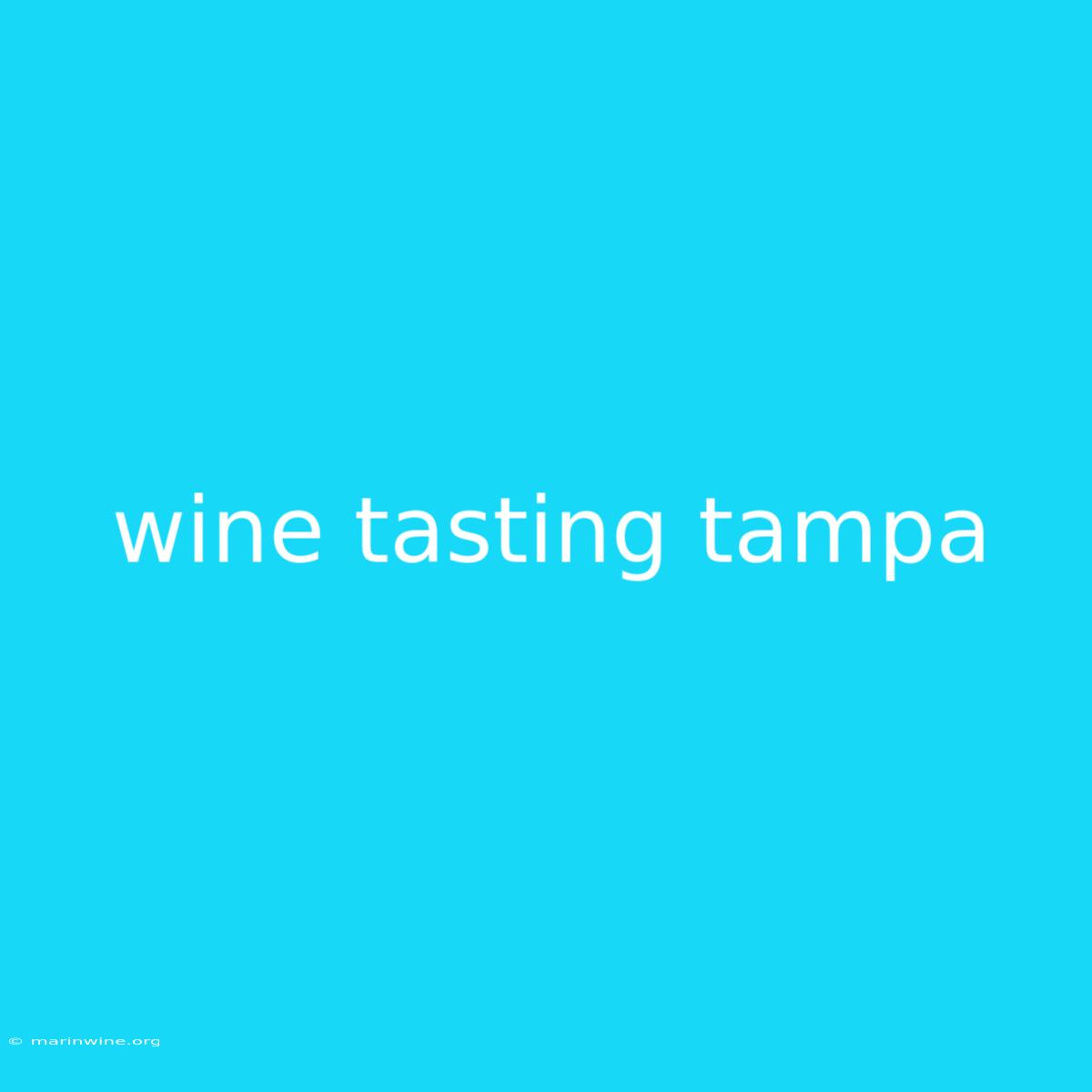 Wine Tasting Tampa