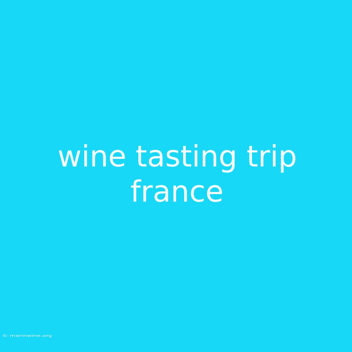 Wine Tasting Trip France