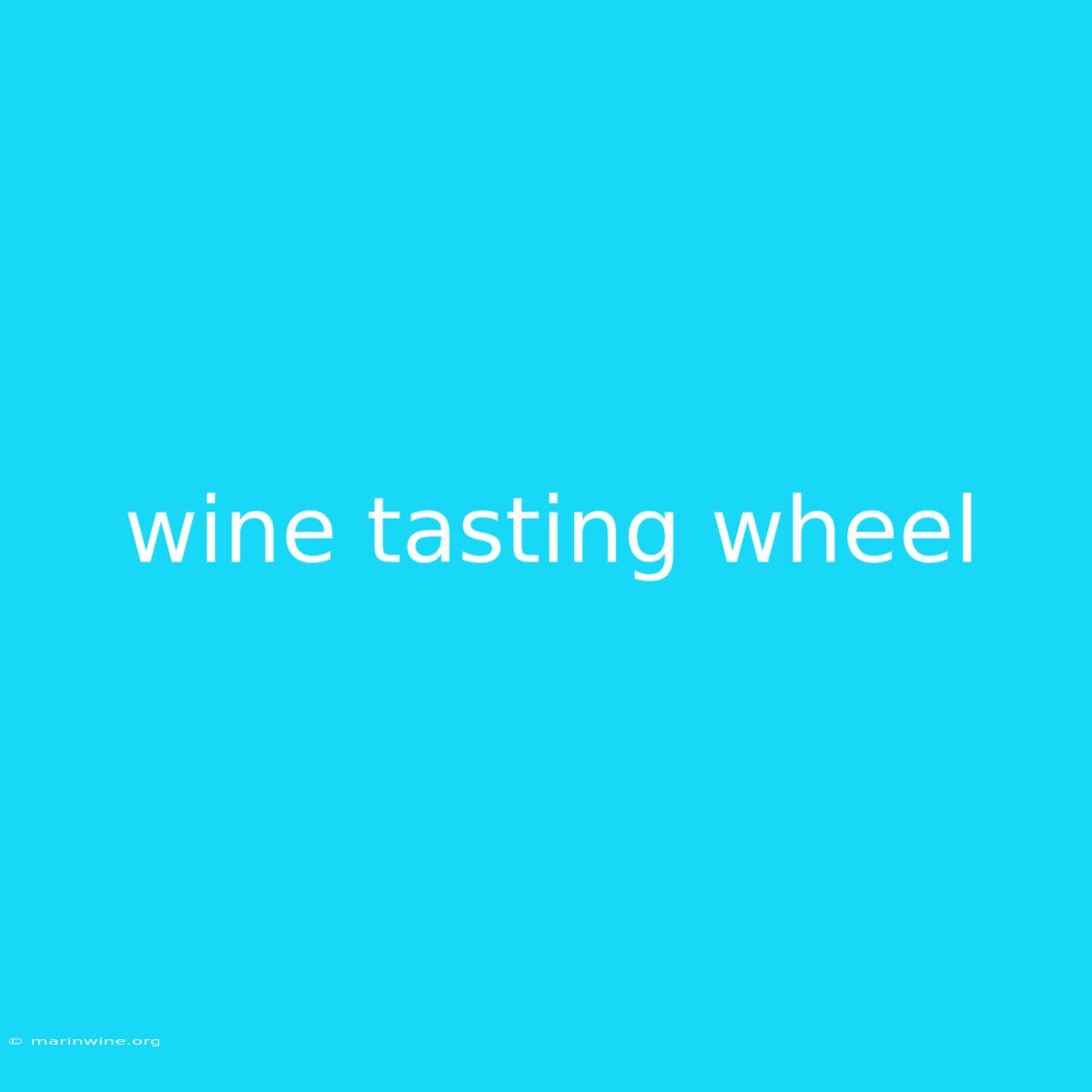 Wine Tasting Wheel