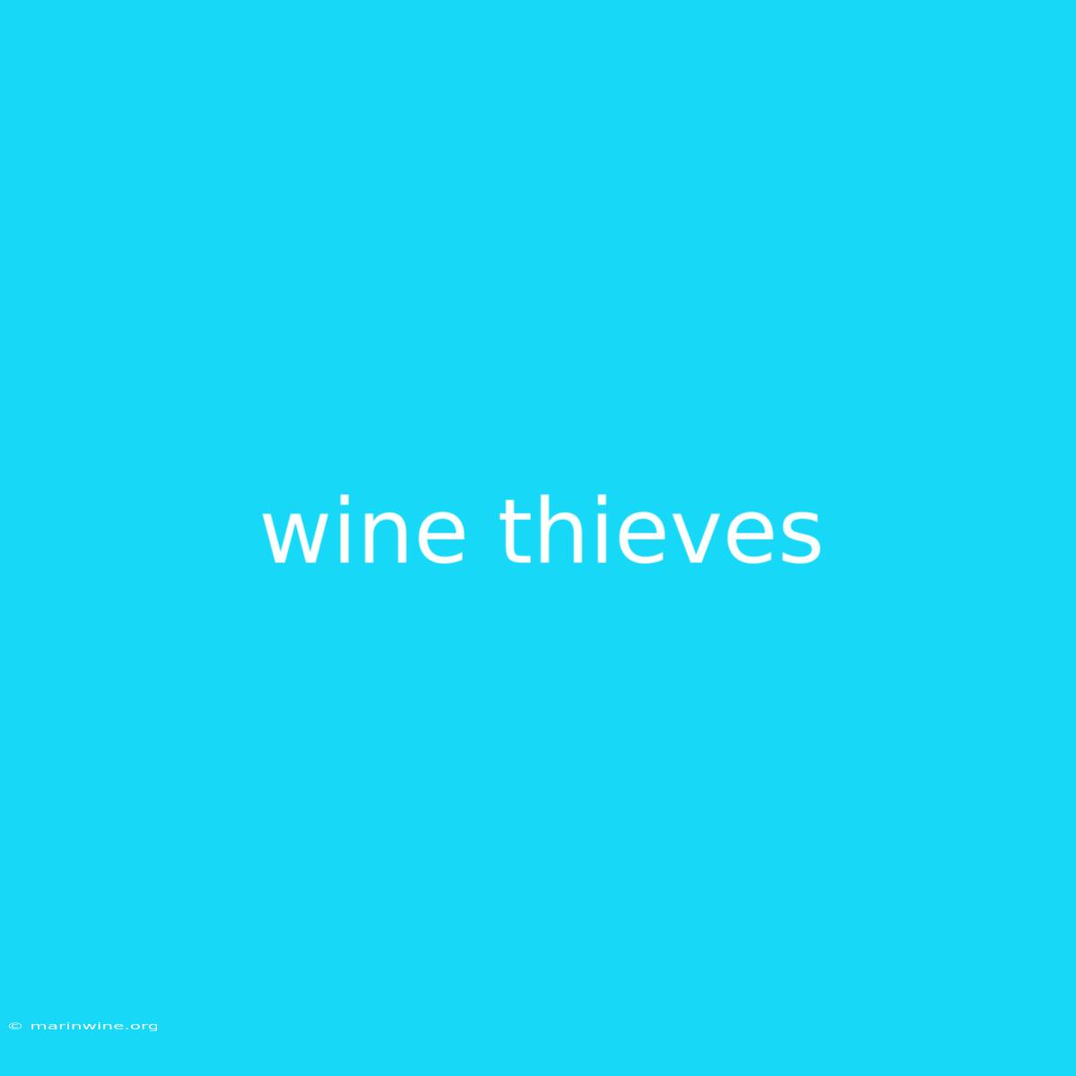 Wine Thieves