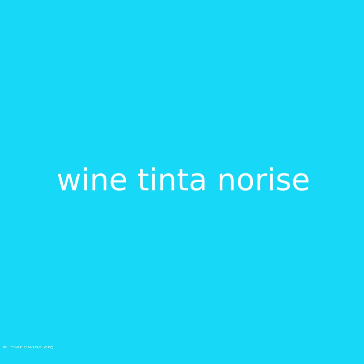 Wine Tinta Norise