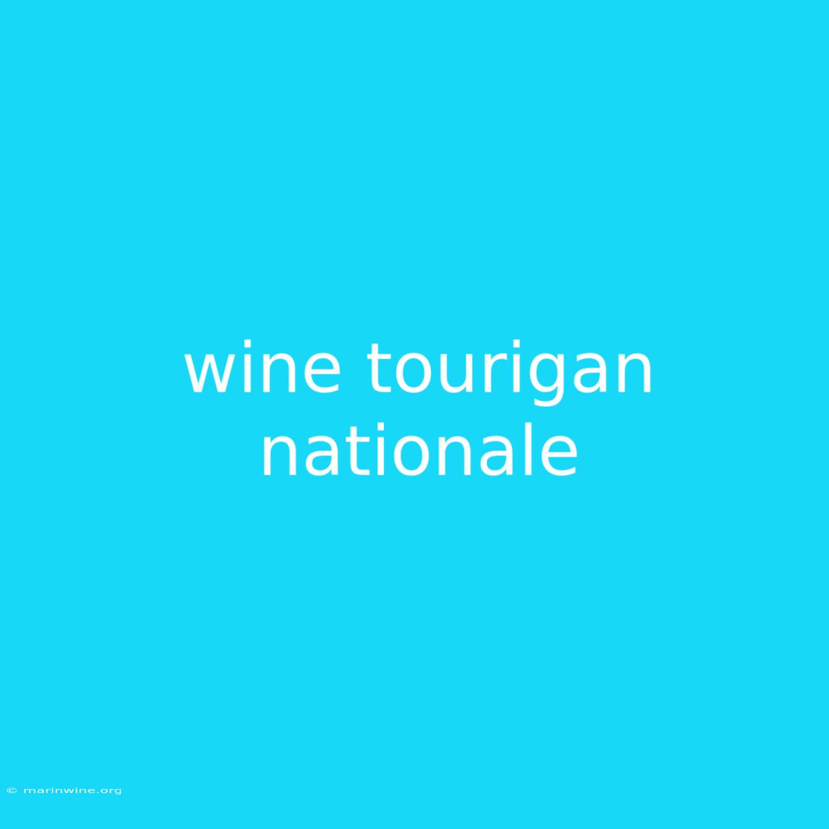 Wine Tourigan Nationale