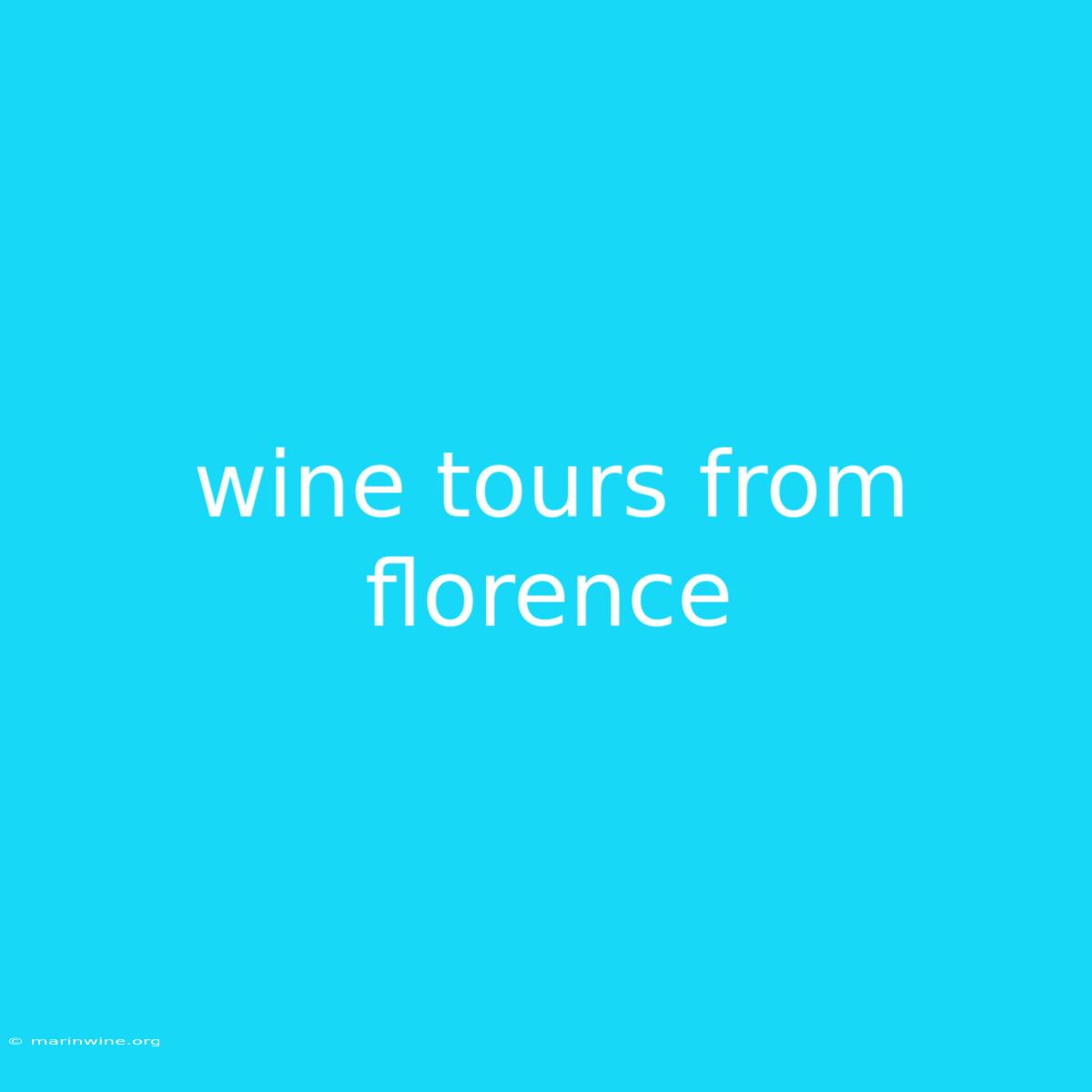 Wine Tours From Florence