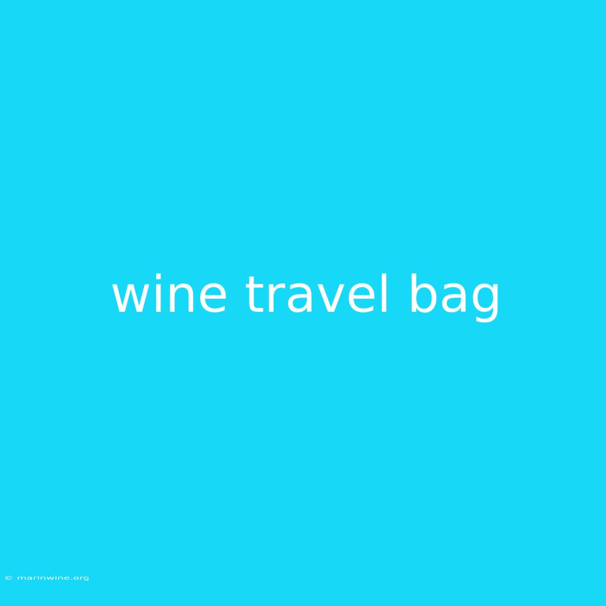 Wine Travel Bag