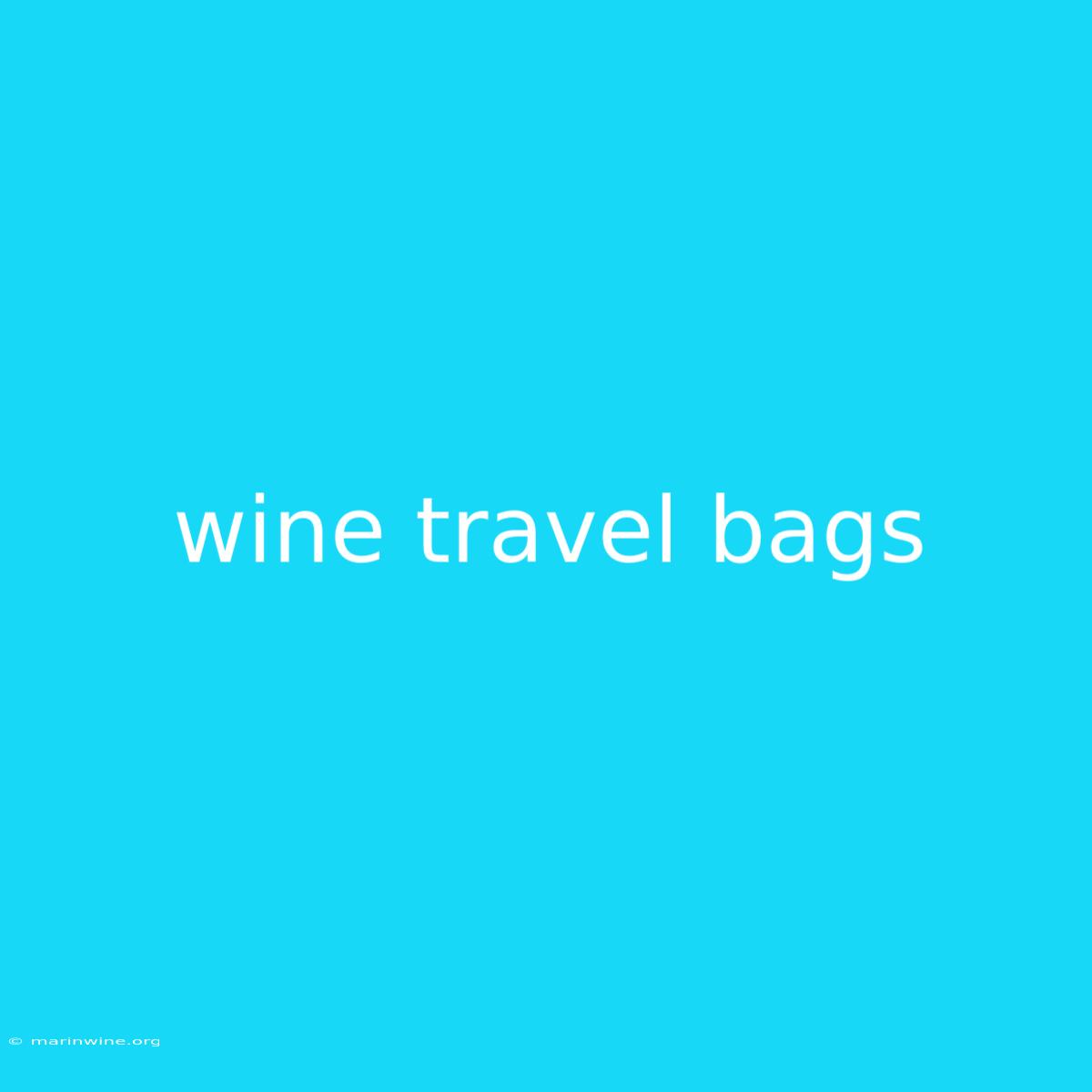 Wine Travel Bags