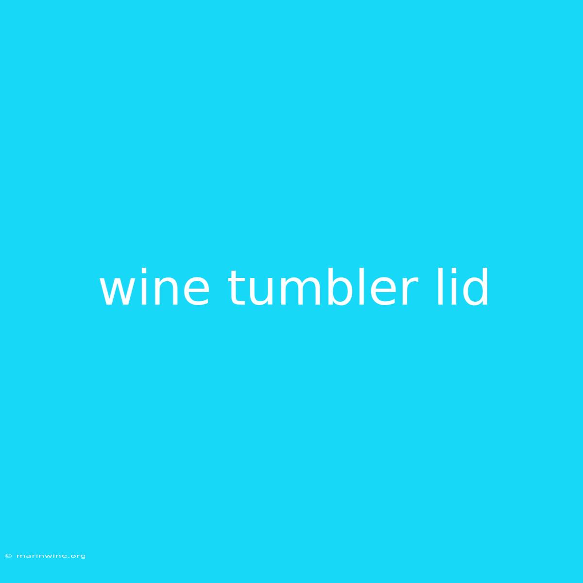 Wine Tumbler Lid