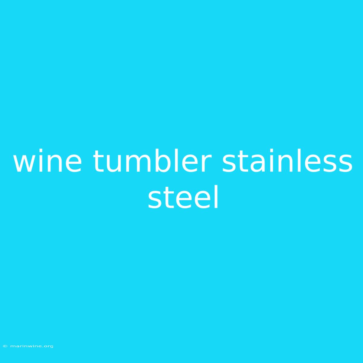 Wine Tumbler Stainless Steel