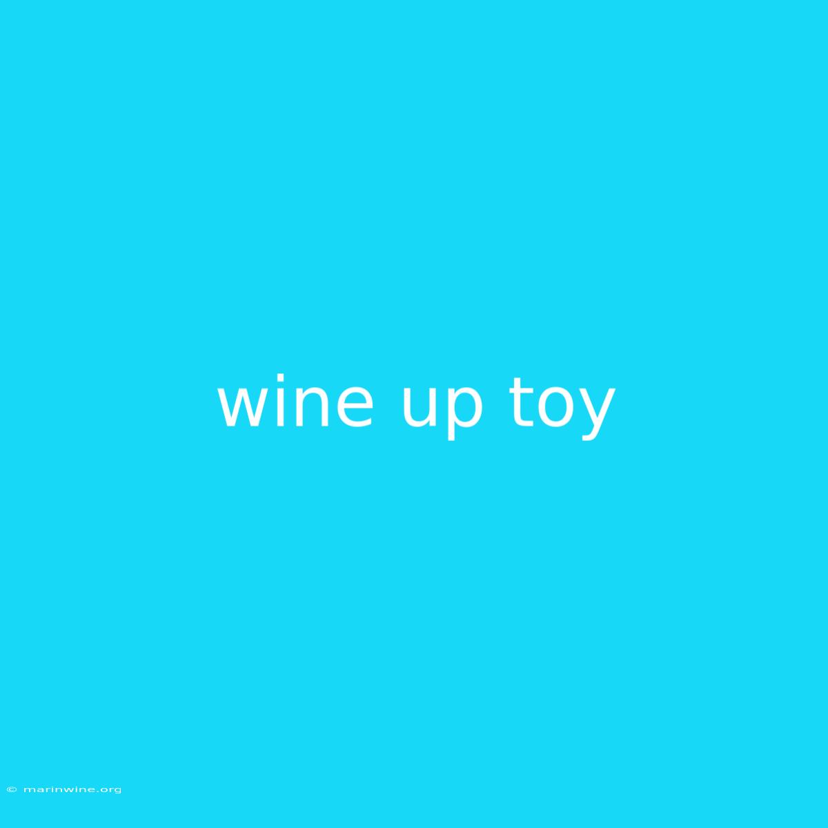 Wine Up Toy