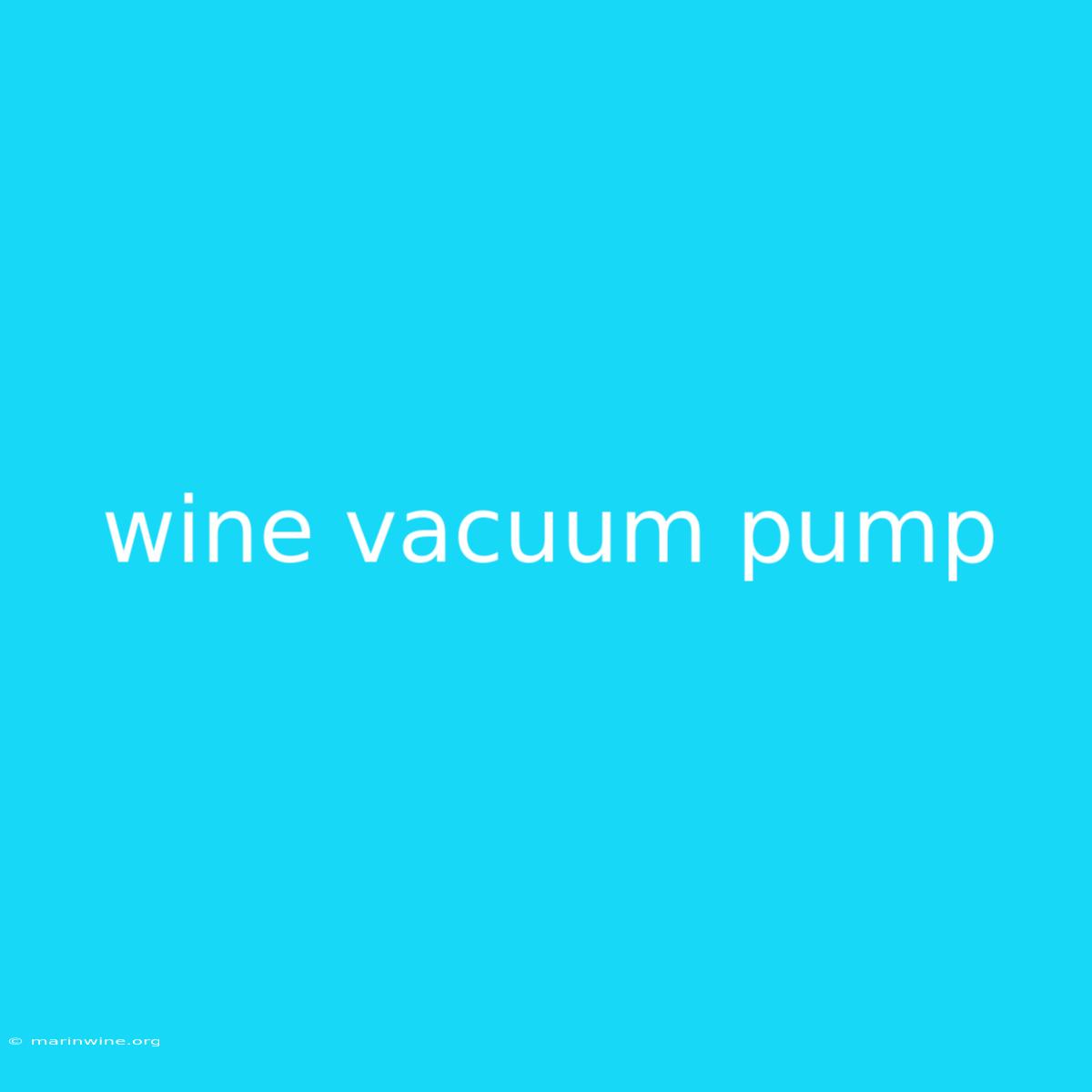 Wine Vacuum Pump