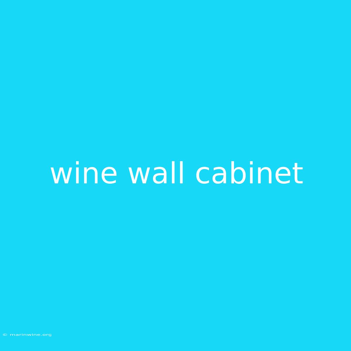 Wine Wall Cabinet