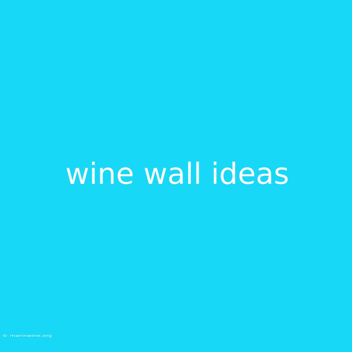 Wine Wall Ideas